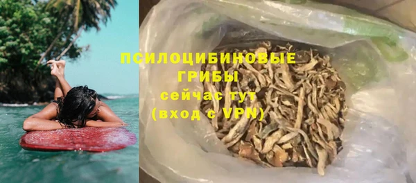 соль ск Абаза