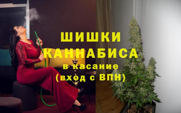 спиды Алзамай
